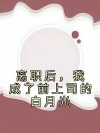 离职后，我成了前上司的白月光