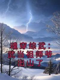 魂穿综武：武当祖师爷出山了